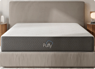 puffy-dsk-pic